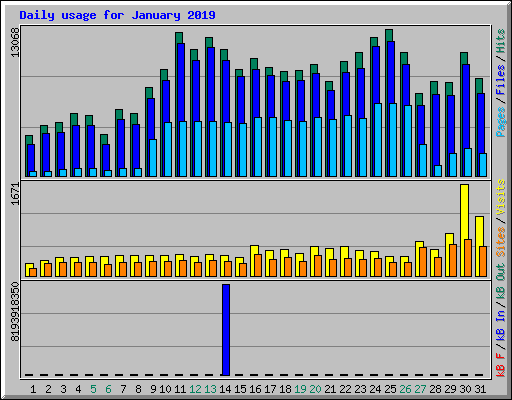 Daily usage for January 2019