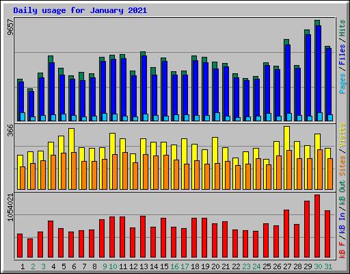 Daily usage for January 2021