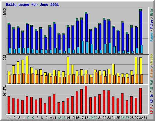 Daily usage for June 2021
