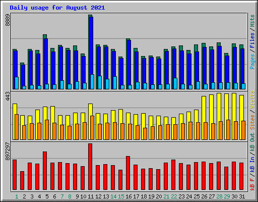 Daily usage for August 2021