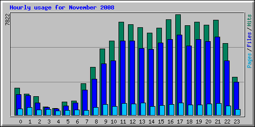 Hourly usage for November 2008