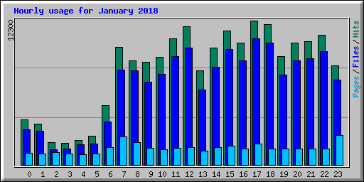Hourly usage for January 2018
