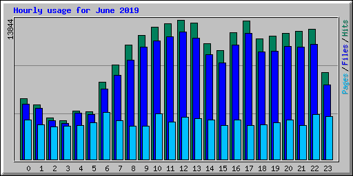 Hourly usage for June 2019