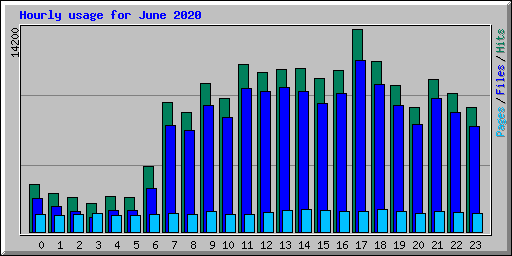 Hourly usage for June 2020