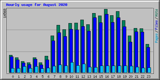Hourly usage for August 2020