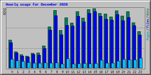 Hourly usage for December 2020