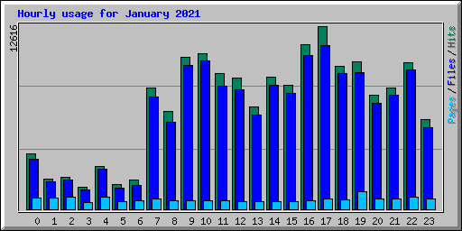 Hourly usage for January 2021