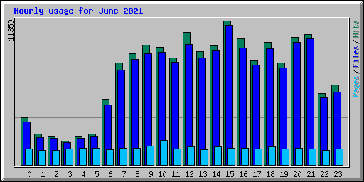 Hourly usage for June 2021
