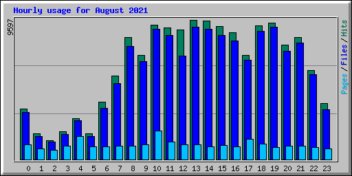 Hourly usage for August 2021