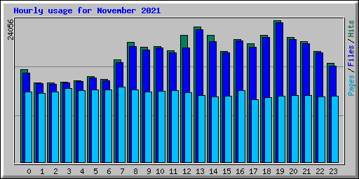Hourly usage for November 2021