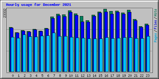 Hourly usage for December 2021
