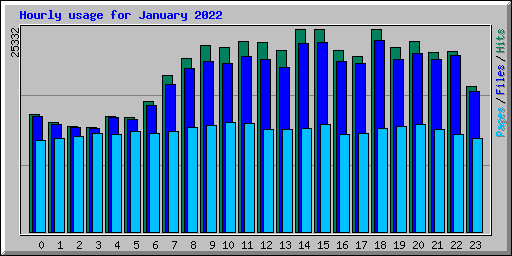 Hourly usage for January 2022