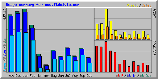 Usage summary for www.ftdelvis.com